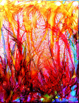 Honey Sweetening The Coral Reef